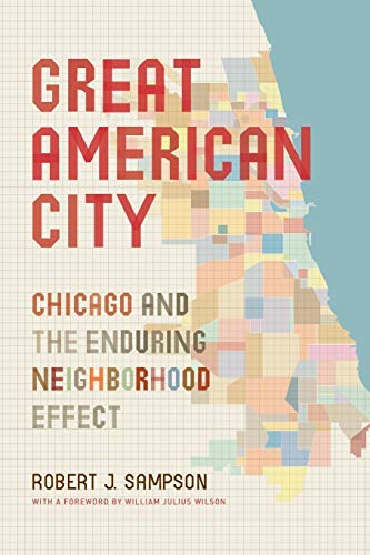 Great American city : Chicago and the enduring neighborhood effect / Robert J. Sampson (另開視窗)